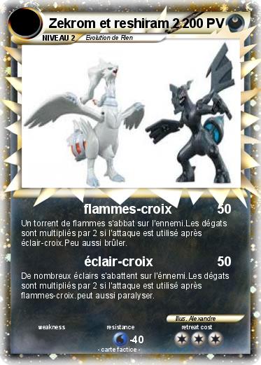 Pokemon Zekrom et reshiram 2