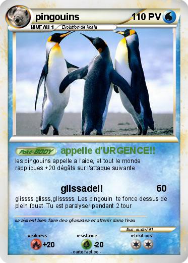 Pokemon pingouins