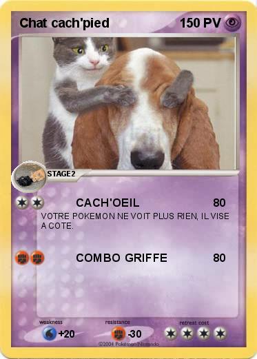 Pokemon Chat cach'pied