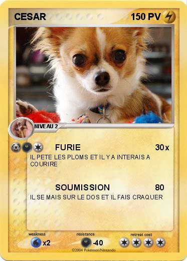Pokemon CESAR