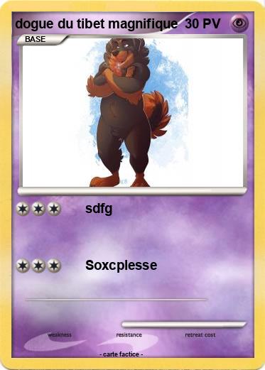 Pokemon dogue du tibet magnifique