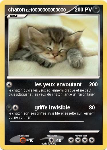Pokemon chaton