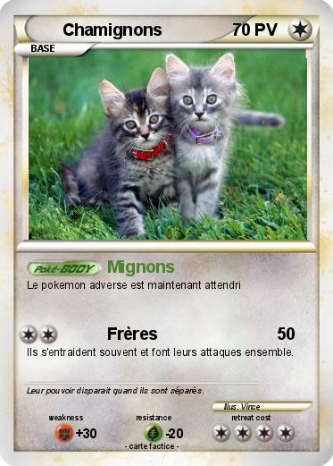 Pokemon Chamignons