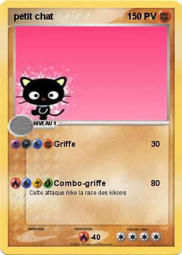 Pokemon petit chat