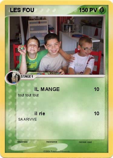 Pokemon  LES FOU