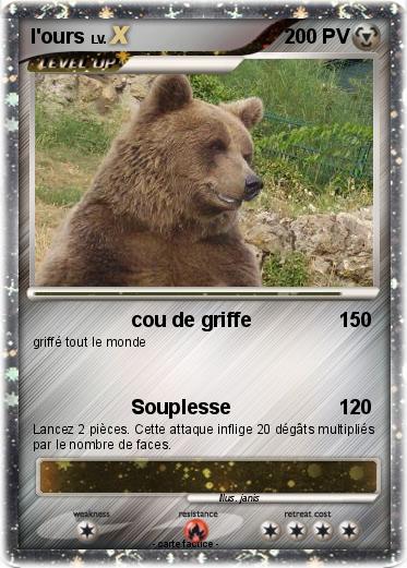 Pokemon l'ours
