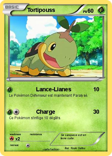 Pokemon Tortipouss