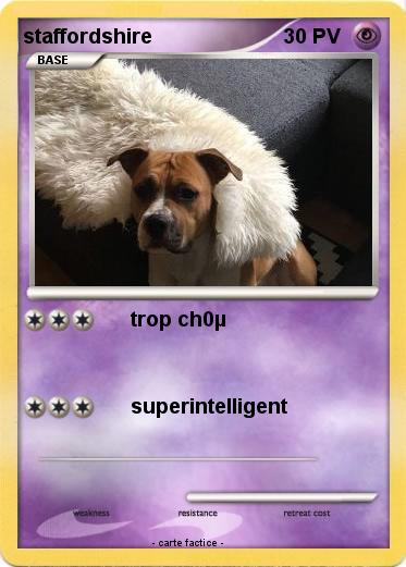Pokemon staffordshire