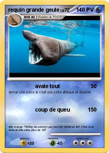 Pokemon requin grande geule