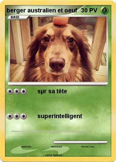 Pokemon berger australien et oeuf