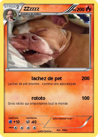 Pokemon ZZzzzz