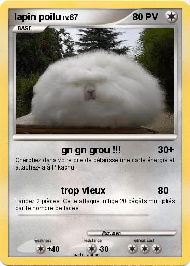 Pokemon lapin poilu