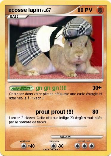 Pokemon ecosse lapin