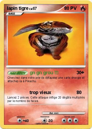 Pokemon lapin tigre