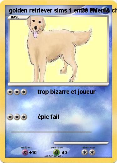 Pokemon golden retriever sims 1 entre chien & chat