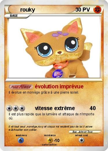 Pokemon rouky