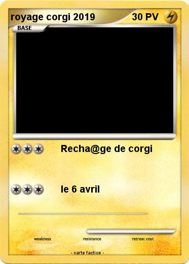 Pokemon royage corgi 2019