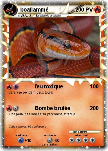 Pokemon boaflammé