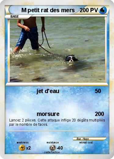 Pokemon M petit rat des mers