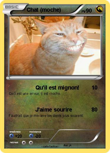 Pokemon Chat (moche)