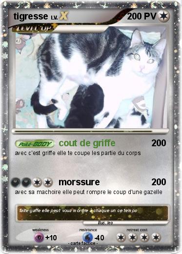 Pokemon tigresse