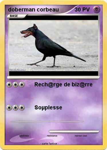 Pokemon doberman corbeau