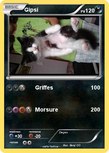 Pokemon Gipsi