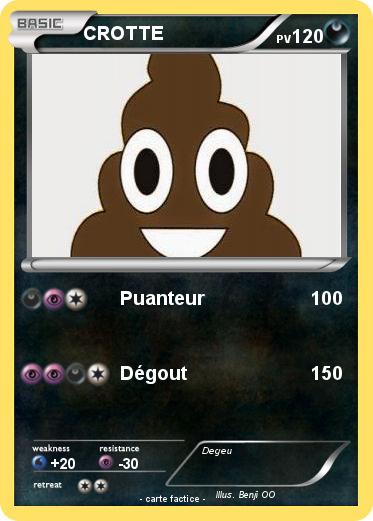Pokemon CROTTE