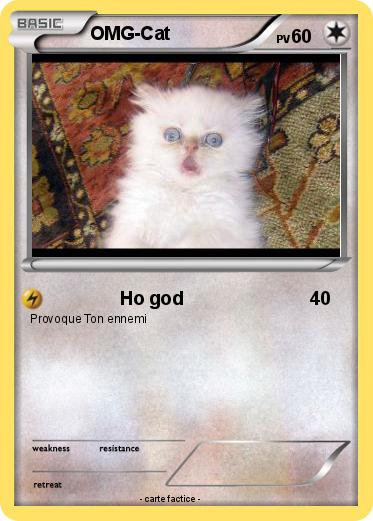 Pokemon OMG-Cat