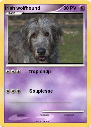 Pokemon irish wolfhound