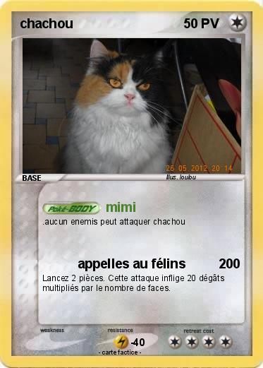 Pokemon chachou