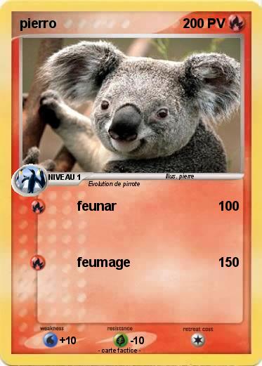 Pokemon pierro