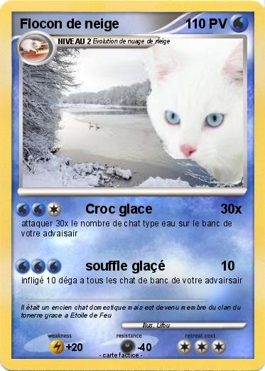 Pokemon Flocon de neige