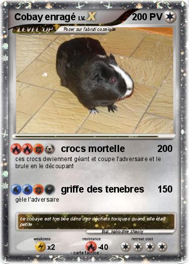 Pokemon Cobay enragé