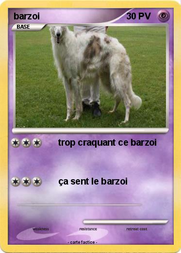 Pokemon barzoi