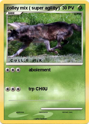 Pokemon colley mix ( super agility )