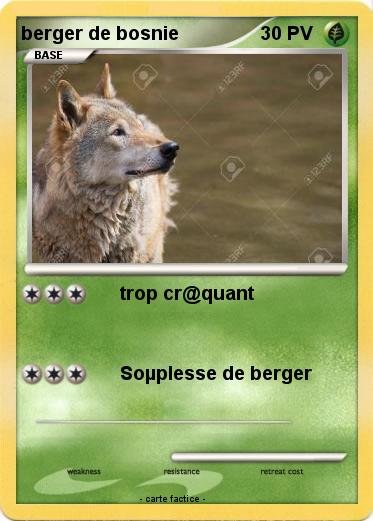 Pokemon berger de bosnie