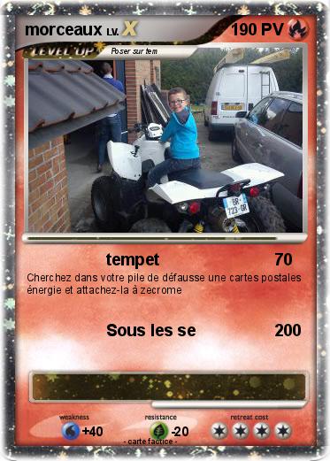 Pokemon morceaux