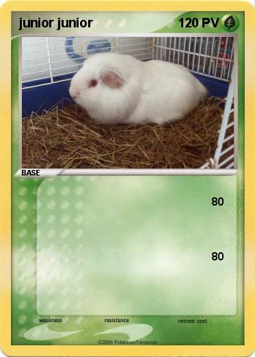 Pokemon junior junior
