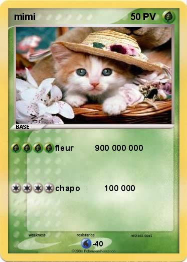 Pokemon mimi