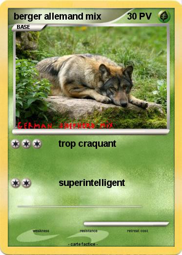 Pokemon berger allemand mix