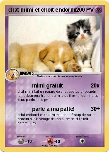 Pokemon chat mimi et choit endormi