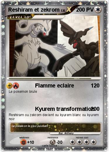 Pokemon Reshiram et zekrom