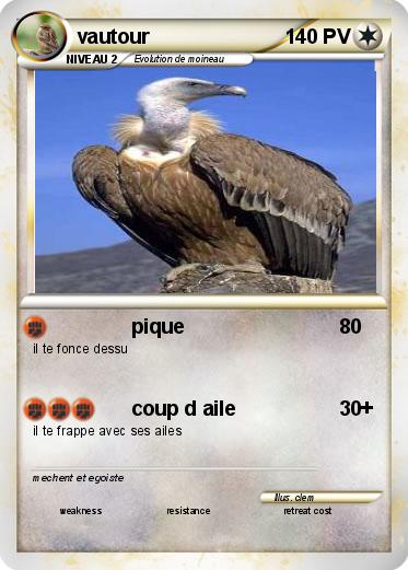 Pokemon vautour