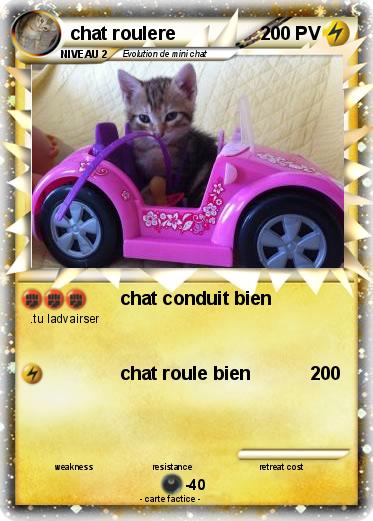 Pokemon chat roulere