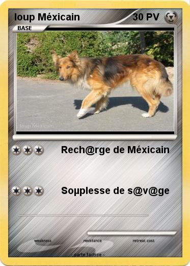 Pokemon loup Méxicain