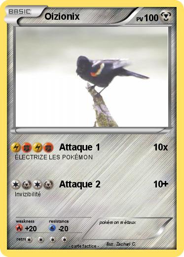 Pokemon Oizionix