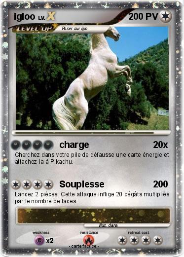 Pokemon igloo