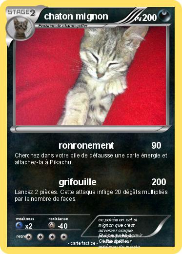 Pokemon chaton mignon
