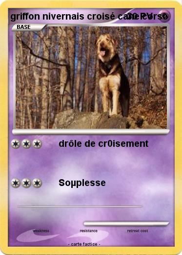 Pokemon griffon nivernais croisé cane corso